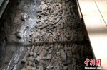 江村大墓外藏坑内藏有大量陶俑。中新社记者 张远 摄 - 陕西新闻