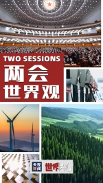 两会世界观｜外媒给出“明证”：中国的“双碳”行动真够实在！ - 西安网