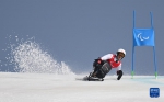 残奥高山滑雪男子大回转：中国队最小选手创造最大惊喜 - 西安网