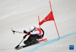 残奥高山滑雪男子大回转：中国队最小选手创造最大惊喜 - 西安网