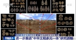 6个田野考古发掘项目入选考古新发现 进一步推进“中华文明多元一体”研究进程 - 西安网
