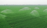 浇好“第一桶”丰收水——农村水网夯实粮食安全后盾 - 西安网