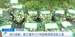 同心抗疫 全国多地紧急调集蔬菜等物资驰援上海 - 西安网