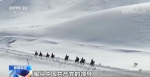 【凡人微光】帕米尔高原 边防官兵踏上风雪巡逻路 - 西安网