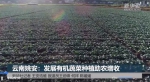 云南姚安：发展有机蔬菜种植助农增收 - 西安网