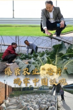 攥紧农业“芯片” 端牢中国饭碗 - 西安网