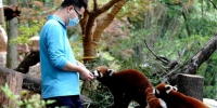 探访疫情防控中的上海动物园 - 西安网
