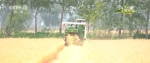 三夏时节 | 农机服务队提供社会化服务 助力小麦颗粒归仓 - 西安网