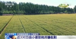 【在希望的田野上·三夏时节】全国已收获小麦面积5583万亩 - 西安网