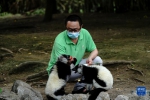 好久不见！上海动物园恢复开园 - 西安网
