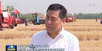 在希望的田野上·三夏时节丨我国收获小麦超过1.2亿亩 进度过四成 - 西安网