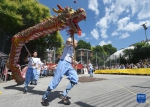 维也纳举办少林文化节 - 西安网