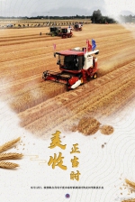大国“粮”策丨麦香四溢！好一幅麦收全景图 - 西安网