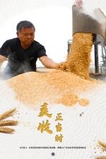 大国“粮”策丨麦香四溢！好一幅麦收全景图 - 西安网