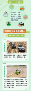科普图解 | 大国“粮”策：一图看懂智慧农业如何扎根田野 - 西安网