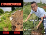 【大国“粮”策】浙江小伙在抖音教农民种地，一个视频3000万人围观，究竟有啥“好看”？ - 西安网