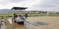 大国“粮”策 | 机械助力抢农时 加快水稻夏种 - 西安网