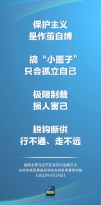 习近平：只有不断发展，才能实现人民对生活安康、社会安宁的梦想 - 西安网