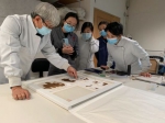 2020年12月，中国丝绸博物馆和陕西考古研究院的专家共研究陕西法门寺地宫出土的丝绸文物。(中国丝绸博物馆供图) - 陕西新闻