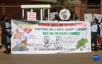 津巴布韦民众抗议美国长期制裁重创民生 - 西安网