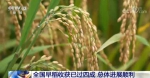 在希望的田野上 | 全国早稻收获已过四成 总体进展顺利 - 西安网