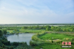 潼关黄河国家湿地公园一景。黄钰涵 摄 - 西安网
