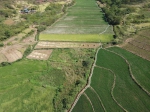 烈日下，为干旱的稻田送来灌溉用水——湖南衡阳抽水保灌一线见闻 - 西安网
