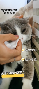 ​如果给猫狗选择湿巾？麦都宠医教你这样选优质的宠物专用湿巾 - 西安网