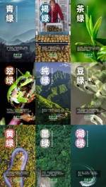 全网阅读破2亿！“美丽中国生态行”主题活动多形式绘就绿动陕西新画卷 - 西安网