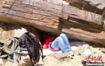 在西藏阿里札达县度日坚岩画考古调查，困到一定能程度总能睡得着。　受访者提供 - 陕西新闻