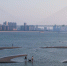 长江武汉段水位持续消退 大片滩涂露出江面 - 西安网