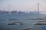 长江武汉段水位持续消退 大片滩涂露出江面 - 西安网