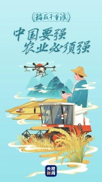 稻菽千重浪丨中国要强，农业必须强 - 西安网