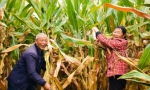 稻菽千重浪丨中国要富，农民必须富 - 西安网