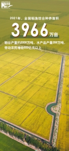 海报 | 共庆好收成！一组数字描绘丰收里的中国 - 西安网
