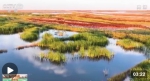 江河奔腾看中国丨莫莫格湿地：河湖连通 打造生态活水网 - 西安网