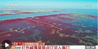 江河奔腾看中国丨生态盛景美如画 看辽河入海口的三种颜色 - 西安网