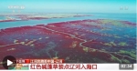 江河奔腾看中国丨生态盛景美如画 看辽河入海口的三种颜色 - 西安网