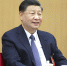 习近平参加党的二十大广西代表团讨论 - 西安网