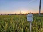 新华全媒+丨长江畔秋收见闻：稻田里藏了多少“黑科技” - 西安网