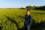 新华全媒+丨长江畔秋收见闻：稻田里藏了多少“黑科技” - 西安网