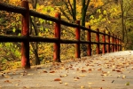 深秋赏红叶，初探太平公园山岳型景区最长无障碍旅游步道 - 西安网