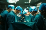 空军军医大学西京医院成功实施国际首例六基因编辑猪-猴多器官、多组织同期联合移植 - 西安网