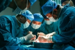 空军军医大学西京医院成功实施国际首例六基因编辑猪-猴多器官、多组织同期联合移植 - 西安网