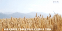 新华全媒+｜陕西西安：“农业景区”走出乡村振兴新路径 - 西安网