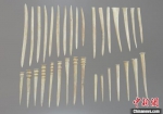 M57出土骨器。　陕西省考古研究院 摄 - 陕西新闻