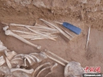 M47随葬品出土情况。　陕西省考古研究院 摄 - 陕西新闻