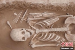 M45骨器出土情况。　陕西省考古研究院 摄 - 陕西新闻