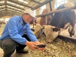 新华全媒+丨黑龙江省宾县肉牛产业发展观察 - 西安网