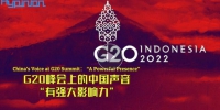 【海评面】G20峰会上的中国声音“有强大影响力” - 西安网